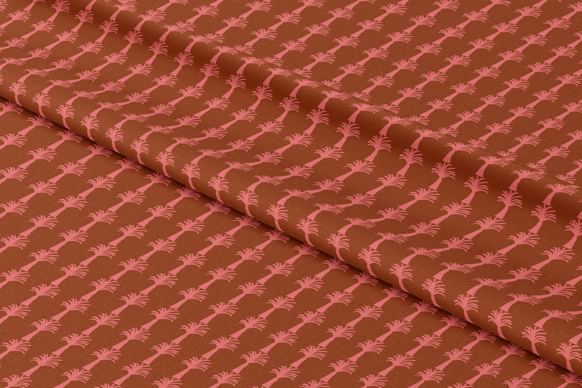 LA PALMA Coral